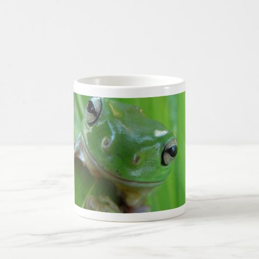 Tasse de grenouille (Centre)