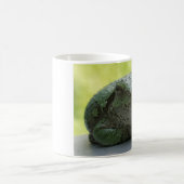 Tasse de grenouille (Centre)