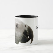 Tasse de gris africain du Congo (Centre)