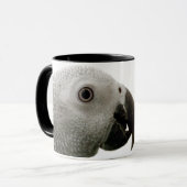 Tasse de gris africain du Congo (Devant gauche)