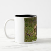 Tasse de guépard (Gauche)