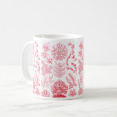Tasse de Haeckel Florideae (Devant gauche)