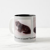 Tasse de hamster (Devant gauche)