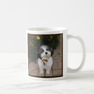 Tasse de Havanese avec des fleurs