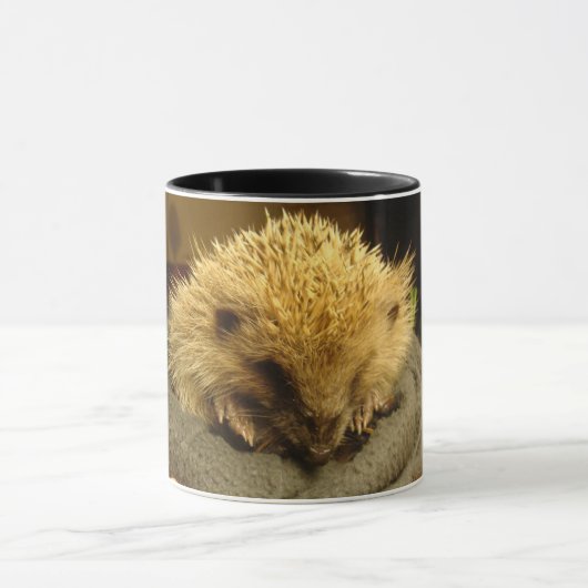 tasse de hérisson (Centre)