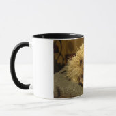 tasse de hérisson (Gauche)