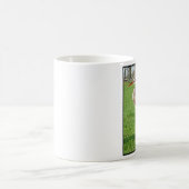 Tasse de Herondog (Centre)
