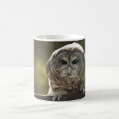 Tasse de hibou (Centre)