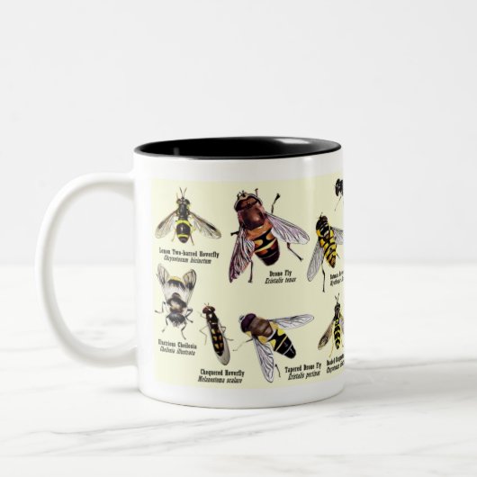 Tasse de Hoveryfly - ton 2 (Gauche)