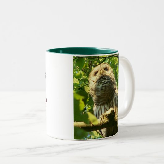 Tasse de huée de Java (Devant droit)