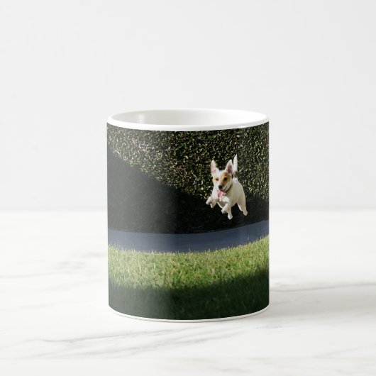Tasse de Jack Russell de vol (Centre)