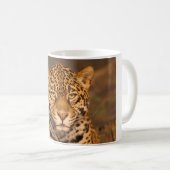 Tasse de Jaguar (Devant droit)