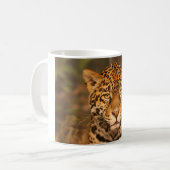 Tasse de Jaguar (Devant gauche)