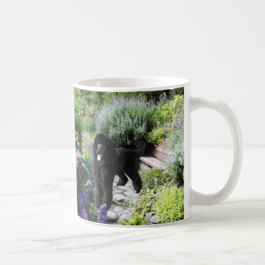Tasse de jardin de caniche (Droite)
