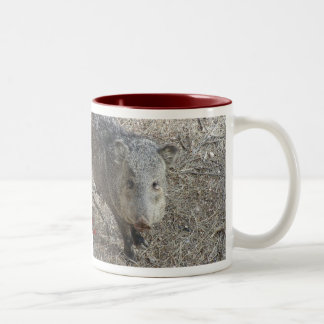 Tasse de Javelina