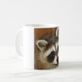 Tasse de jeune de raton laveur (Devant gauche)