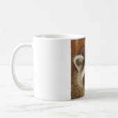 Tasse de jeune de raton laveur (Gauche)