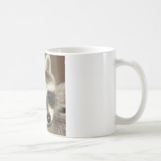Tasse de jeune de raton laveur