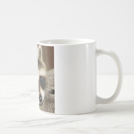 Tasse de jeune de raton laveur (Droite)