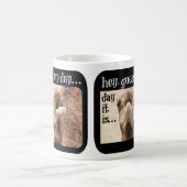 Tasse de journée en milieu de semaine, différentes (Centre)