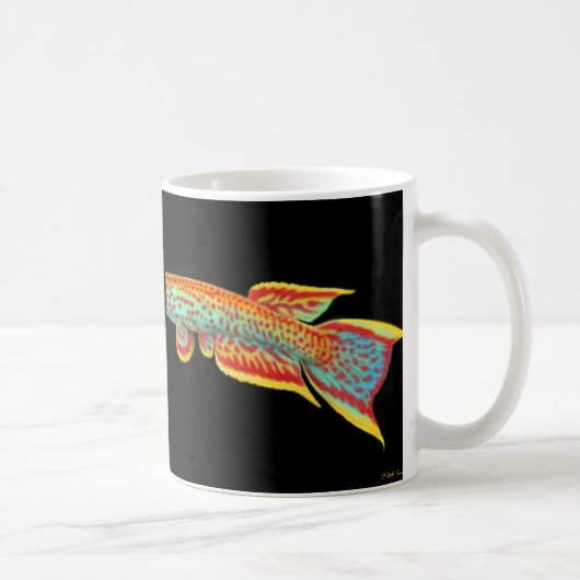 Tasse de Killifish d'Aphyosemion (Droite)