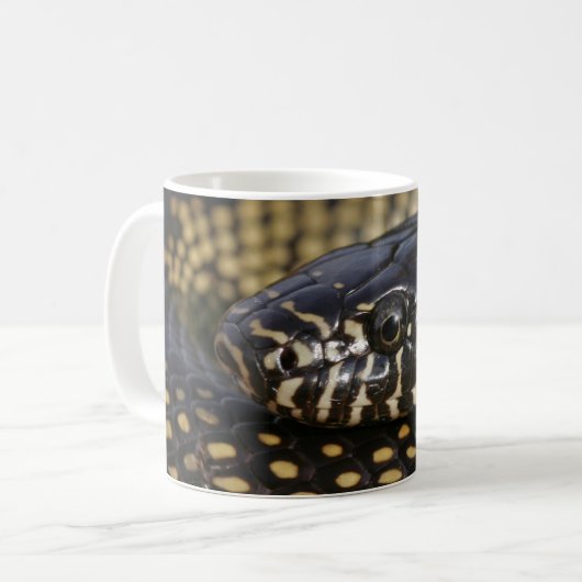 Tasse de Kingsnake de désert (Devant gauche)