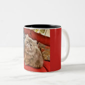 Tasse de Kitty de Persan (Devant droit)