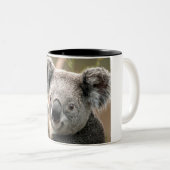 Tasse de koala (Devant droit)