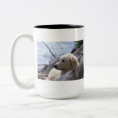 Tasse de "Kuvasz" (Gauche)