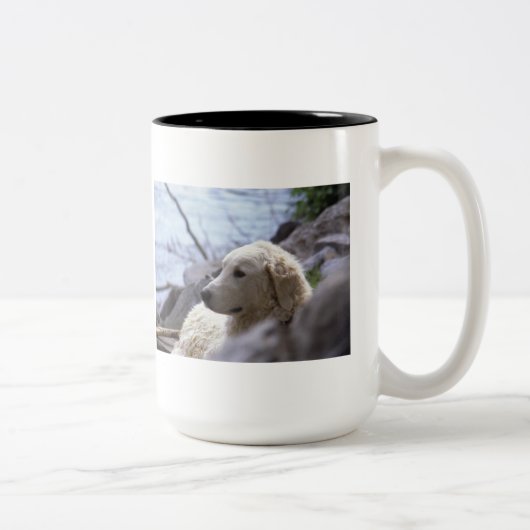 Tasse de "Kuvasz" (Droit)