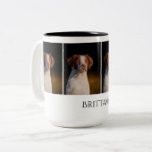 Tasse de la Bretagne (Devant gauche)