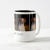 Tasse de la Bretagne (Devant droit)