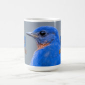 Tasse de la créature de la maison Avis GOT (Centre)