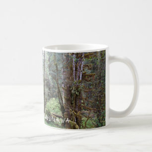 Tasse de la forêt tropicale de Hoh, État de Washin