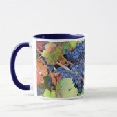 Tasse de la récolte de Napa Valley (Gauche)
