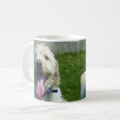 Tasse de Labradoodle (Devant gauche)