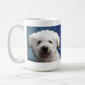 Tasse de Lacie (Gauche)