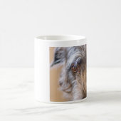 Tasse de limier (Centre)