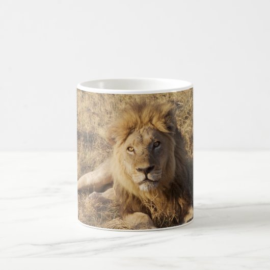 Tasse de lion (Centre)