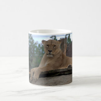 Tasse de lionne
