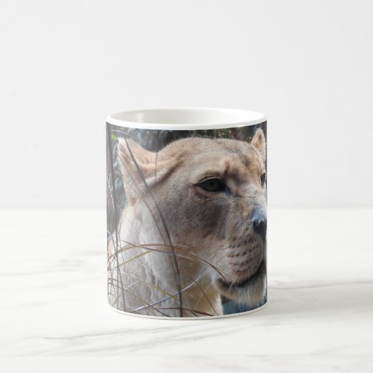 Tasse de lionne (Centre)