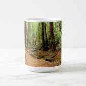 Tasse de lit de la rivière de forêt de séquoia (Centre)