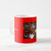 Tasse de Lite (Devant gauche)