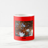 Tasse de Lite (Centre)