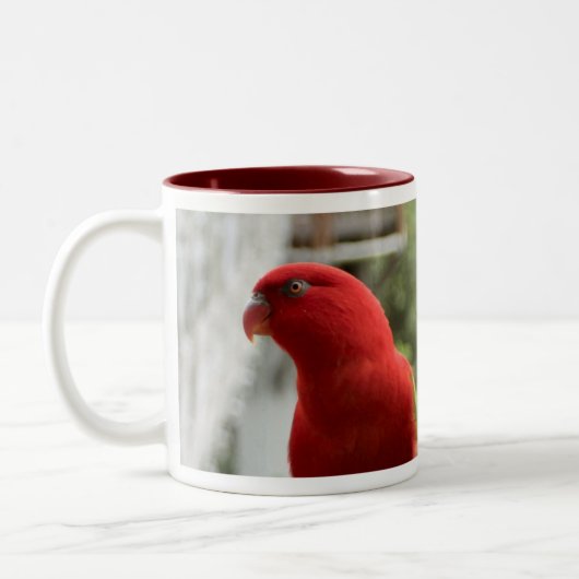 Tasse de Lory (Gauche)
