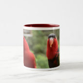 Tasse de Lory (Centre)