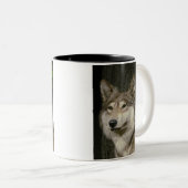 Tasse de loup (Devant droit)