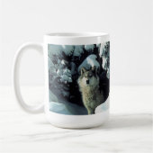 Tasse de loup gris (Gauche)