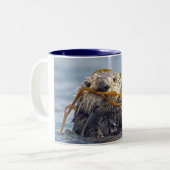 Tasse de loutre de mer de la Californie (Devant gauche)