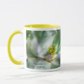 Tasse de magnolia (Gauche)